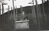 LW10062014_063.jpg