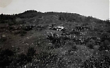 LW10062014_065.jpg