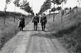 LW24122020-109_2.jpg