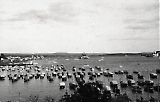 LW24122020-769_2.jpg