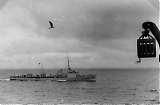 MKB_1-510_Sandnessjoen-0018.jpg
