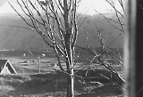 MKB_1-510_Sandnessjoen-0077.jpg
