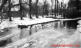 Mesterstrand-011.jpg