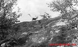 Mesterstrand-165.jpg