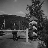 TGE10062020-037.jpg