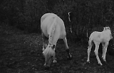 Filename=TGE10062020-067.jpg
Filesize=268KiB
Dimensions=1200x777
Date added=Nov 21, 2020 TGE10062020-067.jpg
