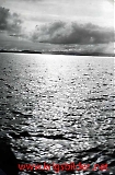 Austflata-063.jpg