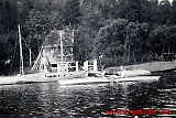 Austflata-090.jpg