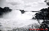 Austflata-110.jpg