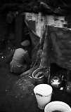 Filename=NEG051013_022.jpg
Filesize=177KiB
Dimensions=632x1000
Date added=Jan 23, 2020 NEG051013_022.jpg