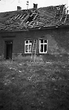 Filename=NEG051013_028.jpg
Filesize=287KiB
Dimensions=625x1000
Date added=Jan 23, 2020 NEG051013_028.jpg