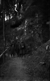 Filename=NEG051013_039.jpg
Filesize=218KiB
Dimensions=629x1000
Date added=Jan 23, 2020 NEG051013_039.jpg