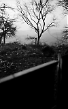 Filename=NEG051013_089.jpg
Filesize=231KiB
Dimensions=629x1000
Date added=Jan 23, 2020 NEG051013_089.jpg