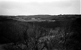 Filename=NEG051013_092.jpg
Filesize=211KiB
Dimensions=1000x625
Date added=Jan 23, 2020 NEG051013_092.jpg