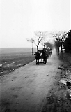 Filename=NEG051013_106.jpg
Filesize=170KiB
Dimensions=643x1000
Date added=Jan 23, 2020 NEG051013_106.jpg