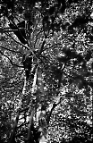 Filename=NEG051013_107.jpg
Filesize=431KiB
Dimensions=650x1000
Date added=Jan 23, 2020 NEG051013_107.jpg