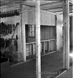 Filename=n20.jpg
Filesize=100KiB
Dimensions=850x895
Date added=Jul 03, 2009 n20.jpg