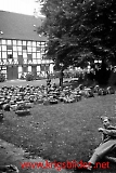 Filename=Nidarvoll-006.jpg
Filesize=319KiB
Dimensions=538x800
Date added=Jun 15, 2009 Nidarvoll-006.jpg