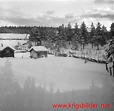 neg09092012-01.jpg