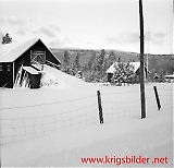 neg09092012-02.jpg