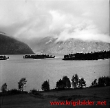 neg09092012-31.jpg