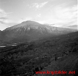 neg09092012-34.jpg
