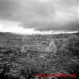 neg09092012-43.jpg