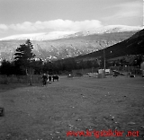 neg09092012-47.jpg
