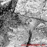 neg09092012-82.jpg