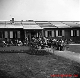 polb255-161211-023.jpg
