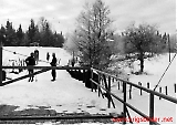 polb255-161211-031.jpg