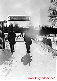 polb255-161211-033b.jpg