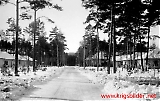 polb255-161211-061.jpg