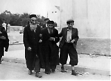Polenforstebolge_-020.jpg