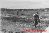 Russiske krigsfanger - Russian POW's
