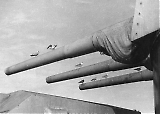 Filename=Scharnhorst__130809-__079.jpg
Filesize=216KiB
Dimensions=862x617
Date added=Jan 01, 2019 Scharnhorst__130809-__079.jpg