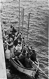 Filename=Scharnhorst__130809-__083.jpg
Filesize=222KiB
Dimensions=508x800
Date added=Jan 01, 2019 Scharnhorst__130809-__083.jpg