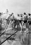 Filename=Scharnhorst__130809-__086.jpg
Filesize=178KiB
Dimensions=545x800
Date added=Jan 01, 2019 Scharnhorst__130809-__086.jpg