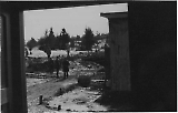 Filename=TGE10052020-035.jpg
Filesize=193KiB
Dimensions=1200x768
Date added=May 11, 2020 TGE10052020-035.jpg
