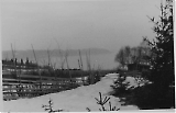 Filename=TGE10052020-036.jpg
Filesize=175KiB
Dimensions=1200x774
Date added=May 11, 2020 TGE10052020-036.jpg