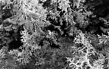 Filename=TGE10052020-041.jpg
Filesize=402KiB
Dimensions=1200x761
Date added=May 11, 2020 TGE10052020-041.jpg