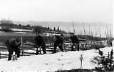 TGE10052020-056.jpg