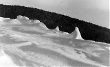 TGE10052020-058.jpg