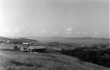 TGE10052020-091.jpg