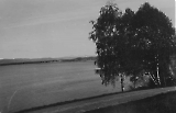 TGE10052020-118.jpg