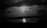 Filename=TGE10052020-125.jpg
Filesize=132KiB
Dimensions=1200x730
Date added=May 11, 2020 TGE10052020-125.jpg