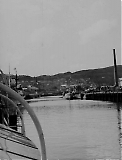 Filename=TGE10052020-136.jpg
Filesize=194KiB
Dimensions=916x1200
Date added=May 11, 2020 TGE10052020-136.jpg