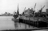Filename=TGE10052020-149.jpg
Filesize=251KiB
Dimensions=1200x776
Date added=May 10, 2020 TGE10052020-149.jpg