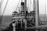 TGE10052020-174.jpg