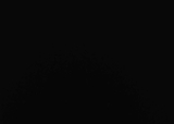 TGE16072009-kuifl506-017.jpg